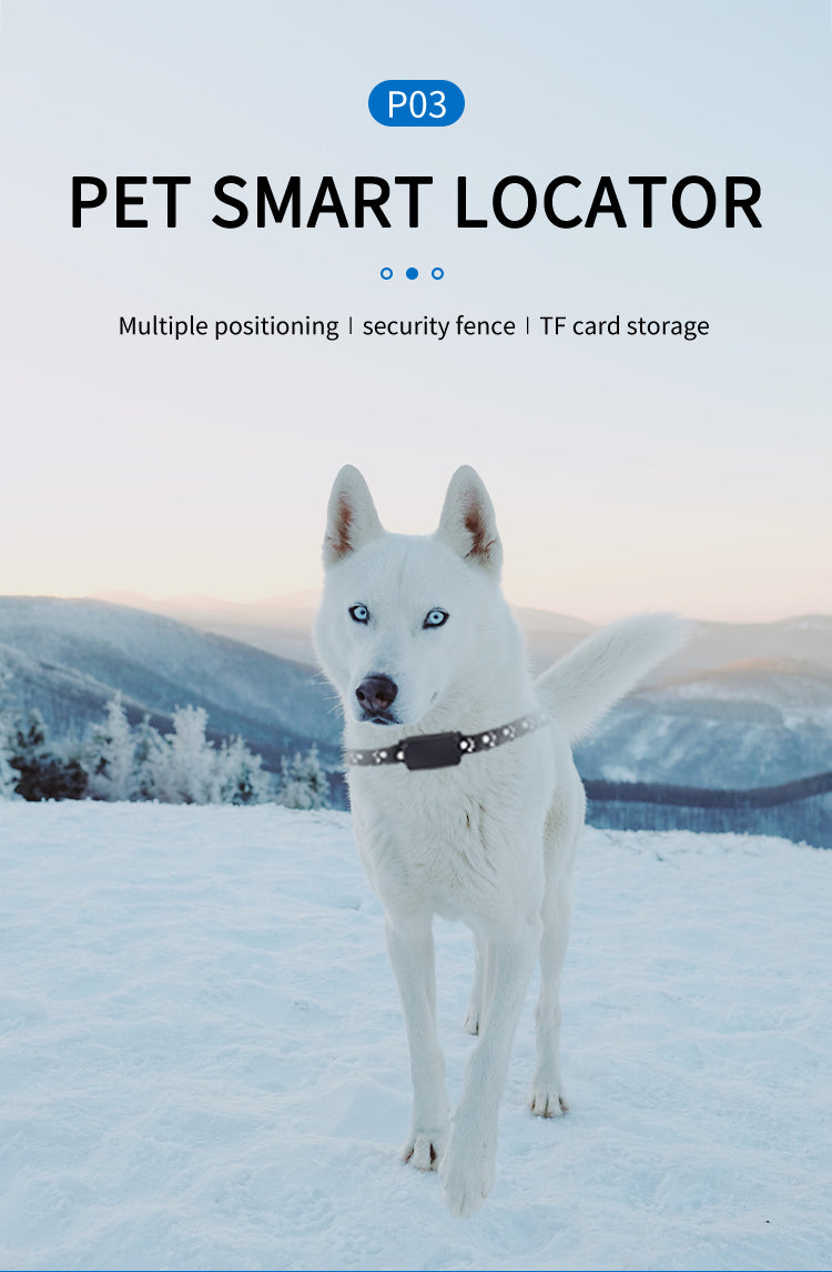 Pet Collar With Gps Tracker Waterproof Anti-Lost Dog Collar For Dogs Cats Outdoor Long Standby Footprint Tracking Locator Items