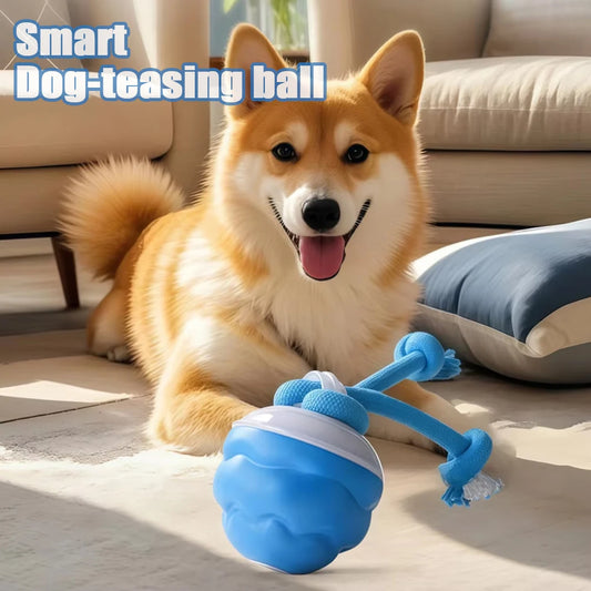 Interactive Dog Toys Smart Rolling Ball With Rope Motion Activated Automatic Moving Squeaky Dog Training Puppy Chew Toy Balls