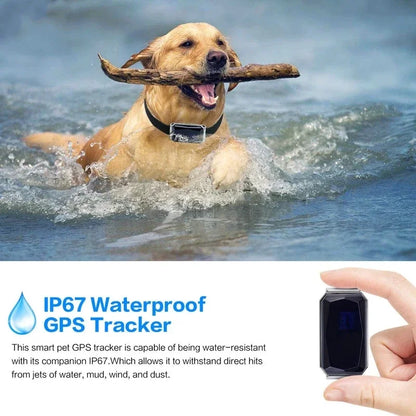 Pet Collar With Gps Tracker Waterproof Anti-Lost Dog Collar For Dogs Cats Outdoor Long Standby Footprint Tracking Locator Items