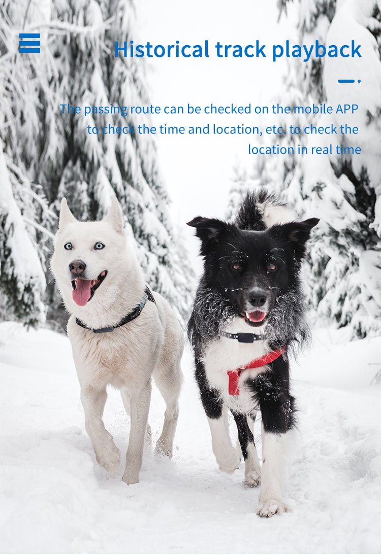 Pet Collar With Gps Tracker Waterproof Anti-Lost Dog Collar For Dogs Cats Outdoor Long Standby Footprint Tracking Locator Items