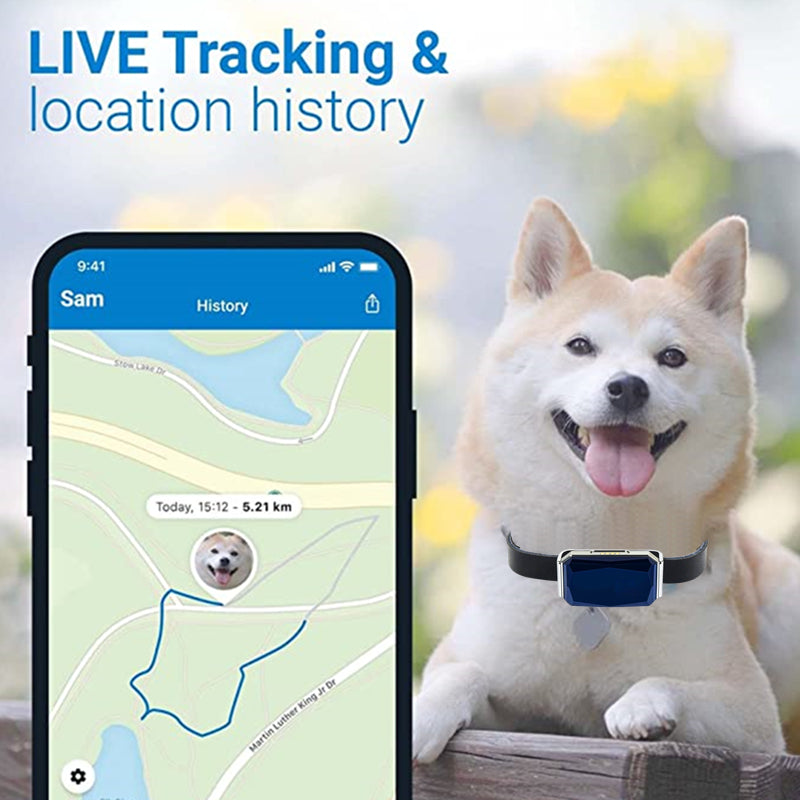 Pet Collar With Gps Tracker Waterproof Anti-Lost Dog Collar For Dogs Cats Outdoor Long Standby Footprint Tracking Locator Items