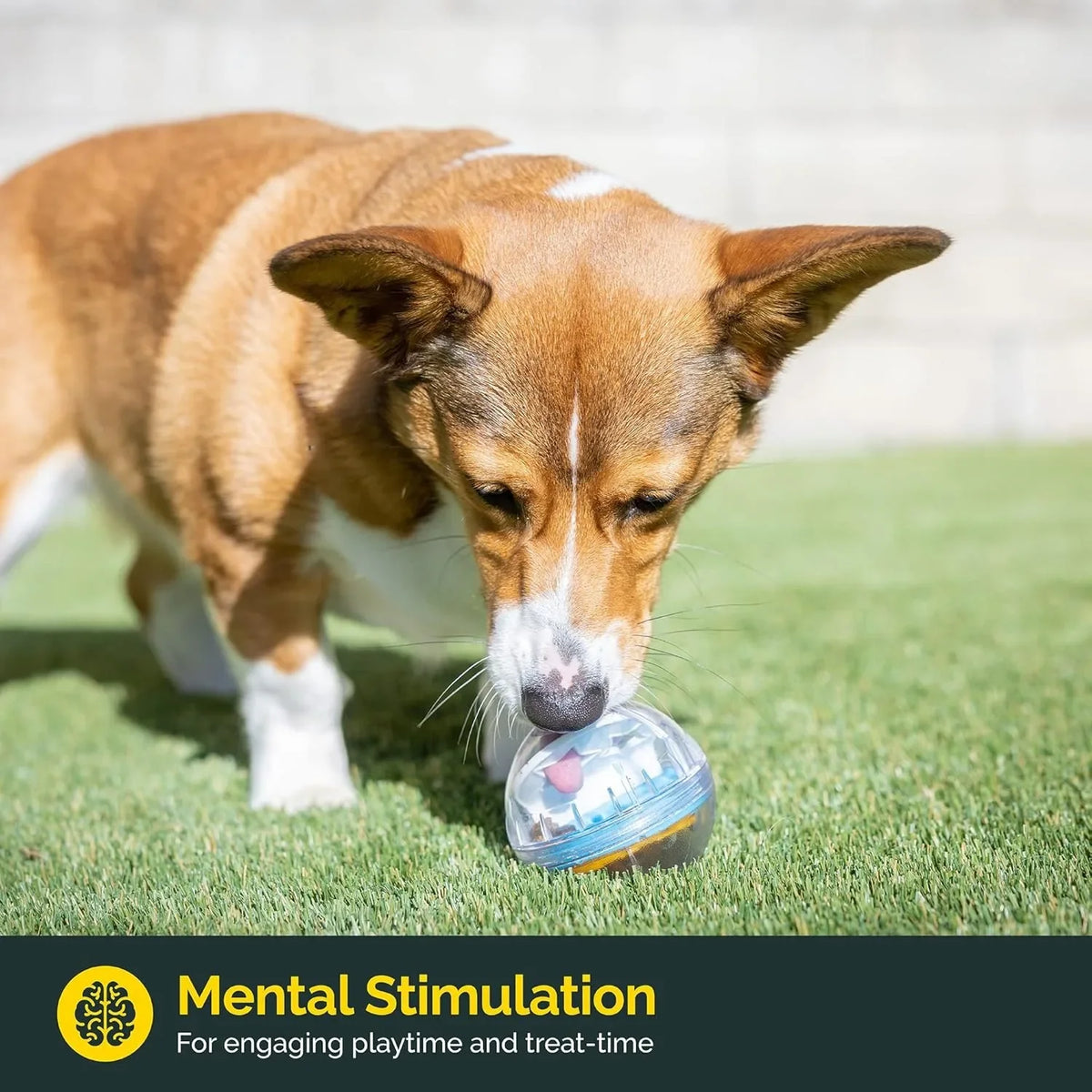 IQ Treat Ball Dog Treat Dispenser Toy Ball Interactive Dog Toy - 4